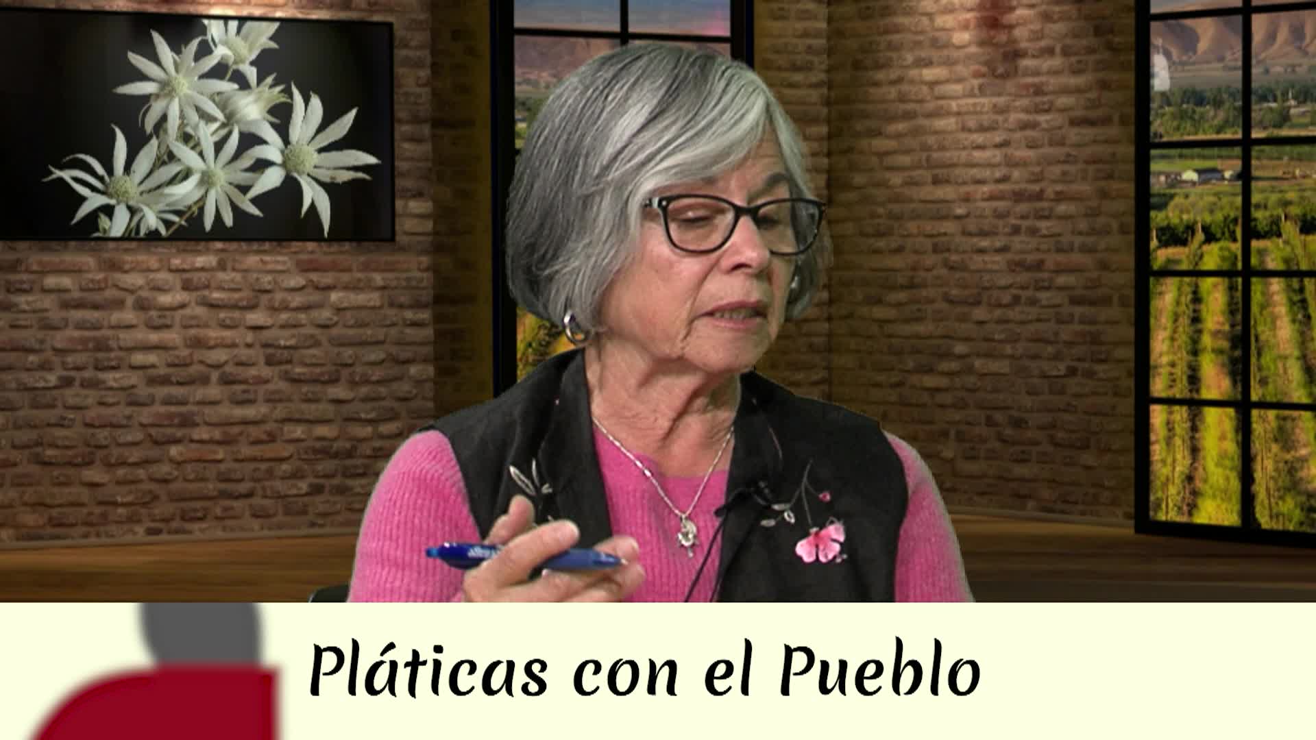 Platicas con el Pueblo - Ep 26 - Virginia Santillanes